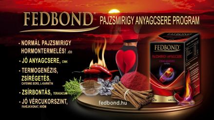 Pajzsmirigy anyagcsere program